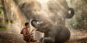 Le Roi Srongtsen Gampo et l’Éléphant Blanc