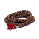 Mala Tibétain Rudraksha 5 Mukhi - Univers Tibet